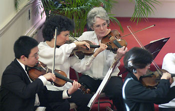 violin section