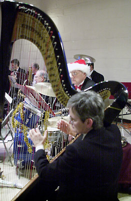 Ellen Fox, harp