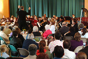 audience and orchestra