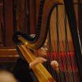 Harp