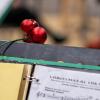 PCO-2022-12-11_01